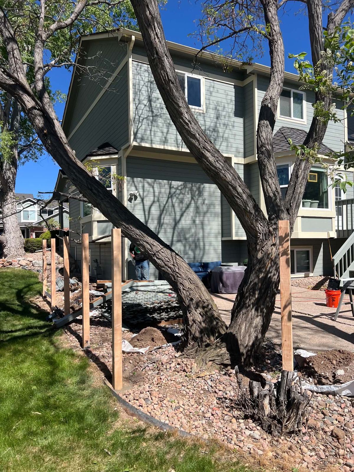 Fence posts set around old trees